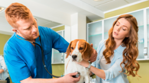Hospital Veterinário Público de Brasília