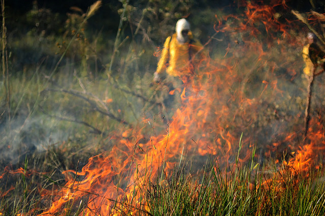 DF emite alerta para queimadas até o fim do período de seca na região